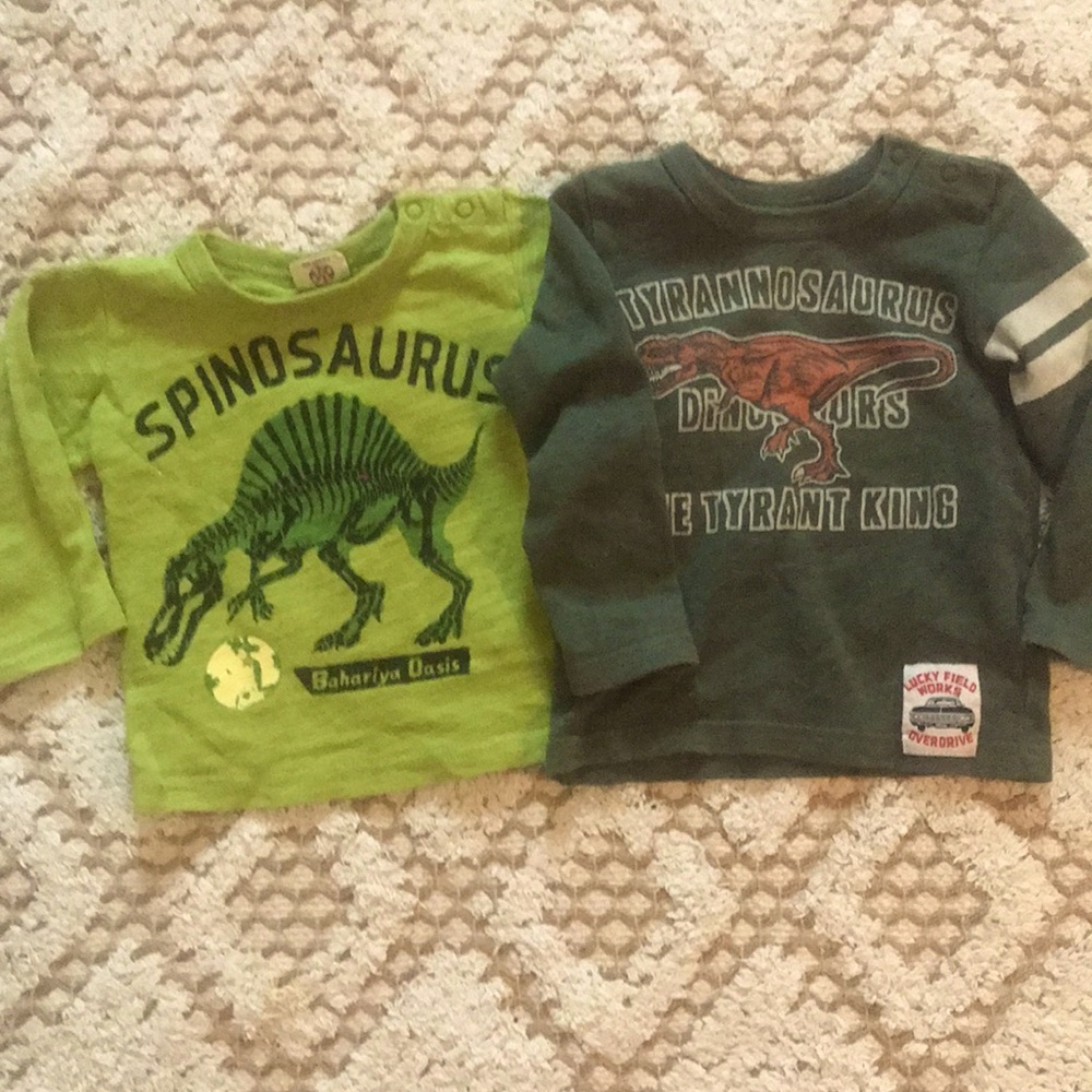 Bit’z kids‎ green dinosaur tops 18 24 mos